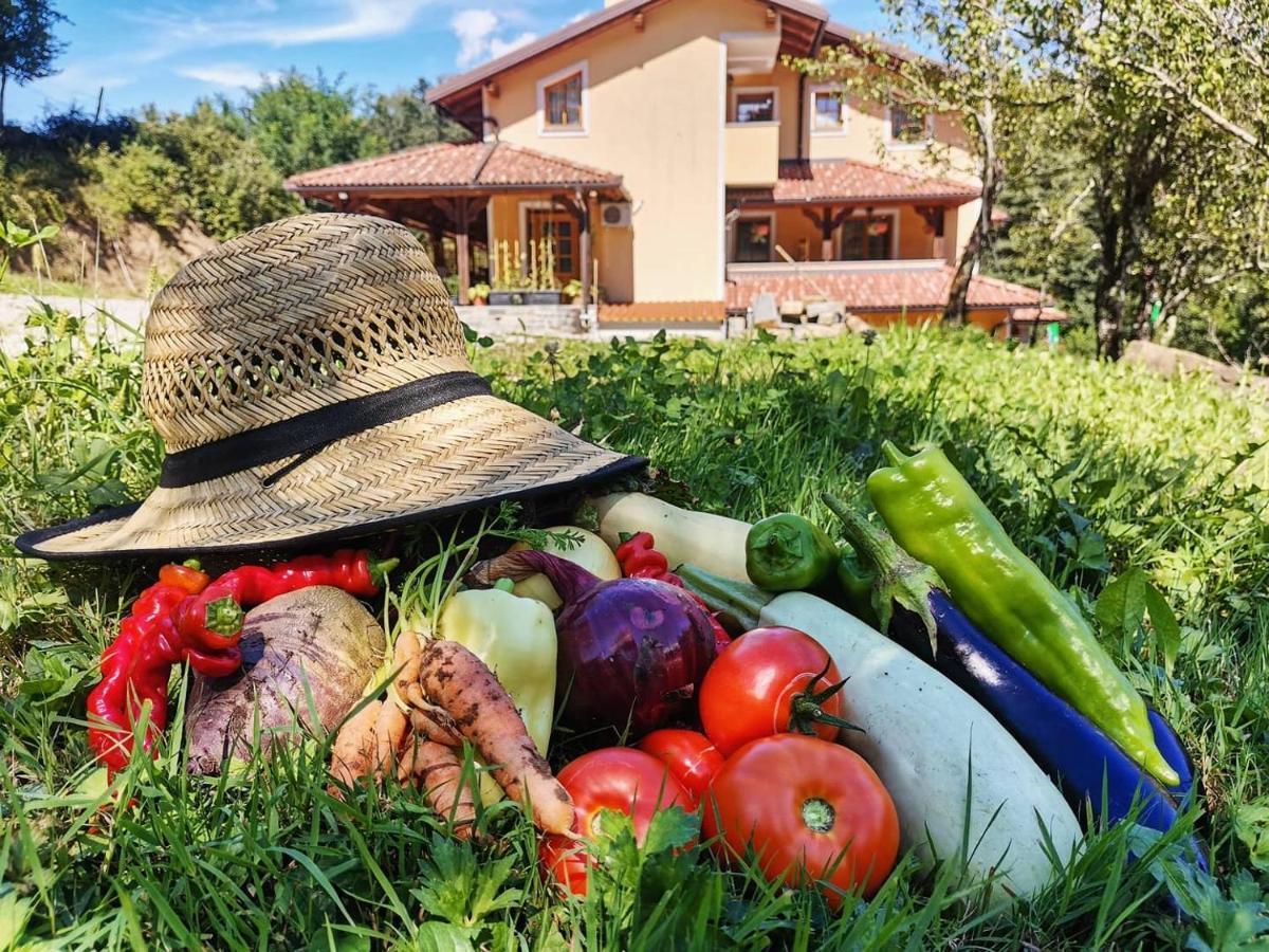 Farm Stay Peternelj Ilirska Bistrica Buitenkant foto