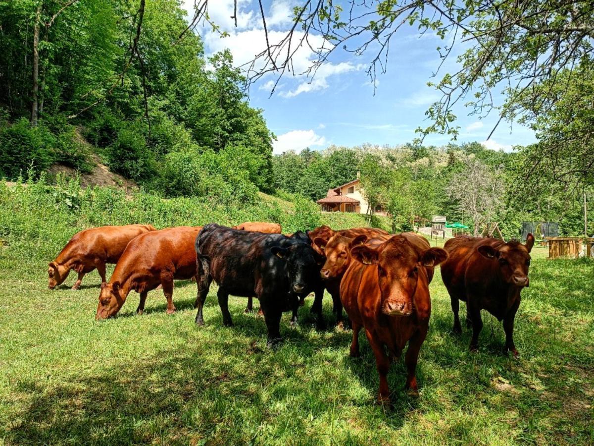 Farm Stay Peternelj Ilirska Bistrica Buitenkant foto