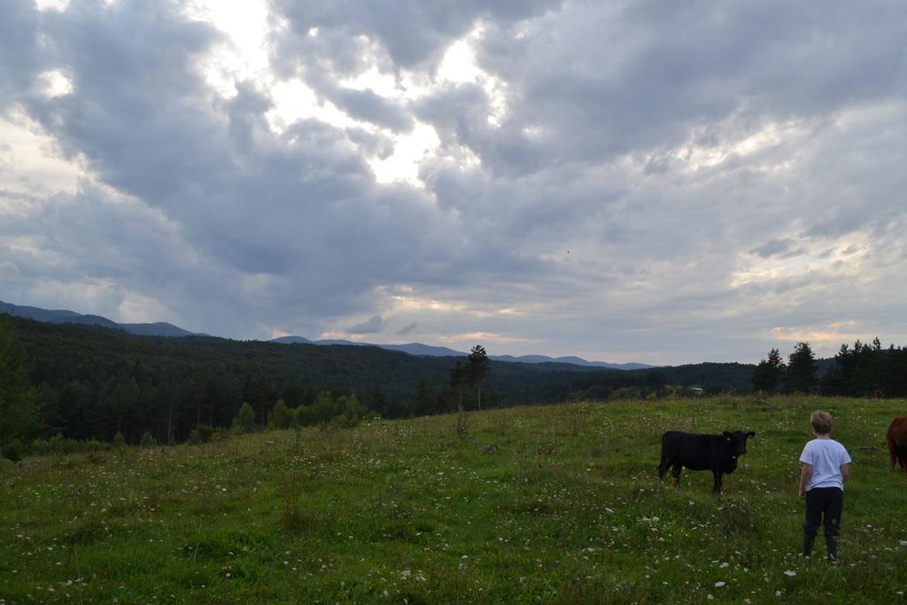 Farm Stay Peternelj Ilirska Bistrica Buitenkant foto