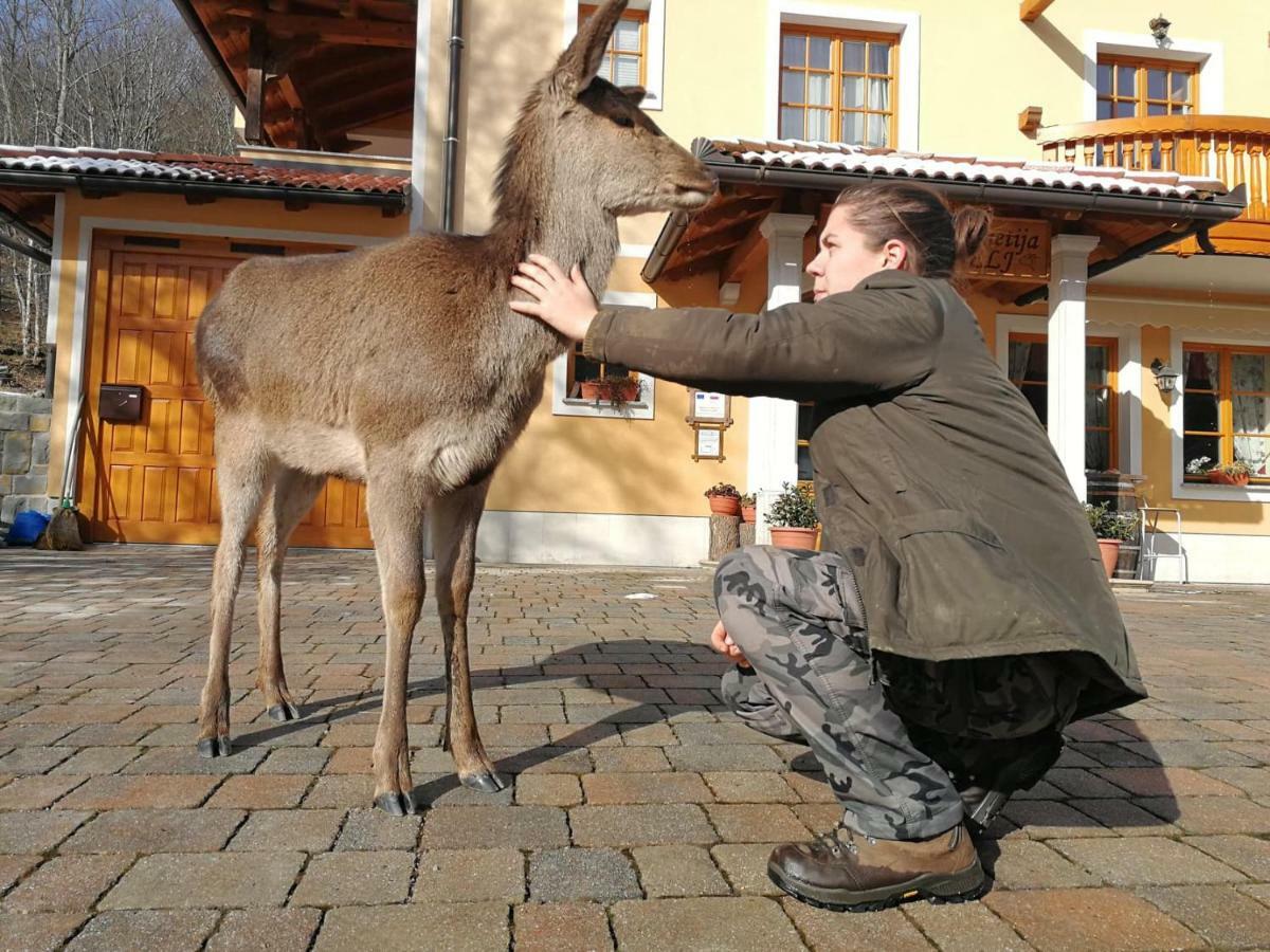 Farm Stay Peternelj Ilirska Bistrica Buitenkant foto